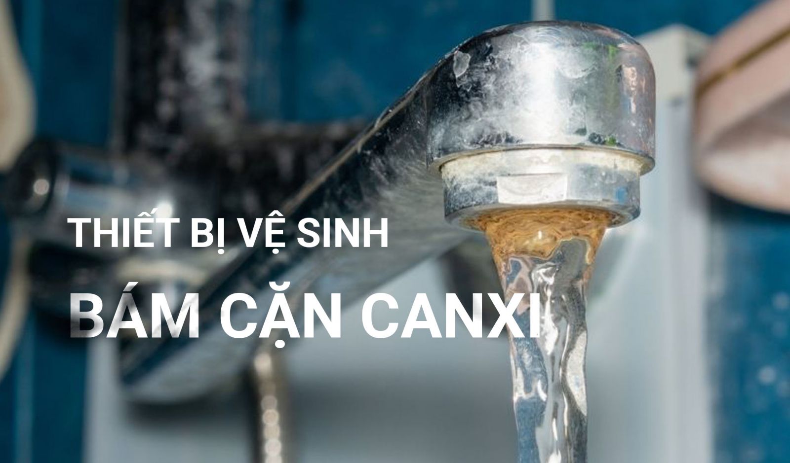thiết bị vòi sen bám cặn canxi