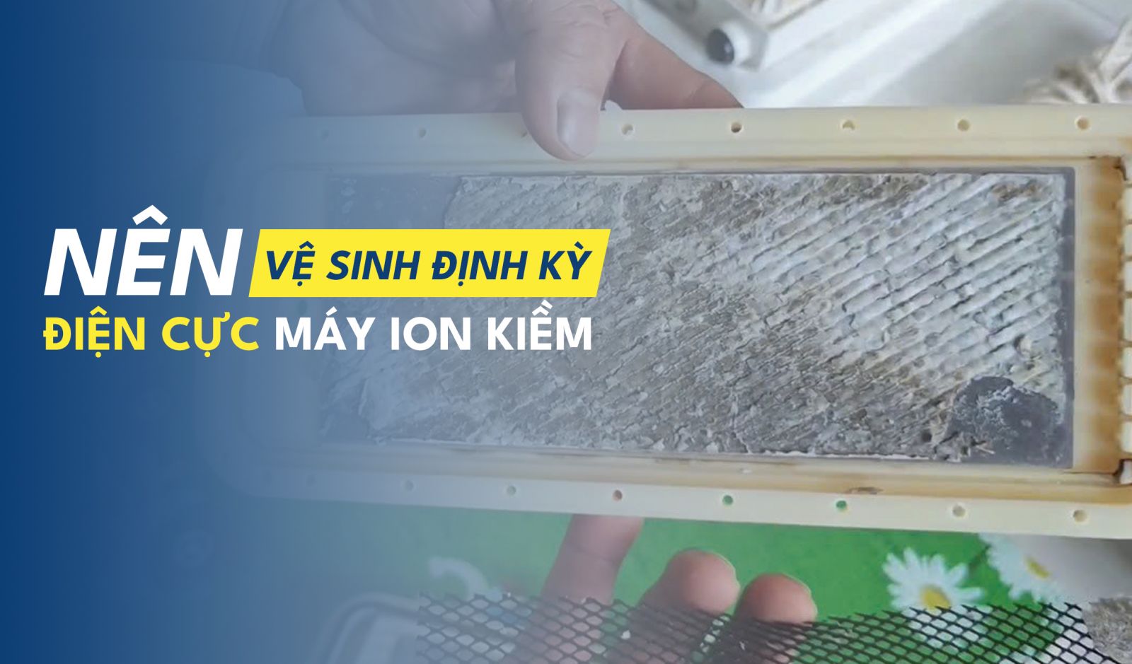 Tháo máy ion kiềm để vệ sinh tấm điện cực bên trong đang bám cặn canxi